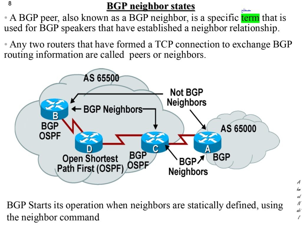 BGP_Ahmed_Nabil_page-0008 - scholarzones.com