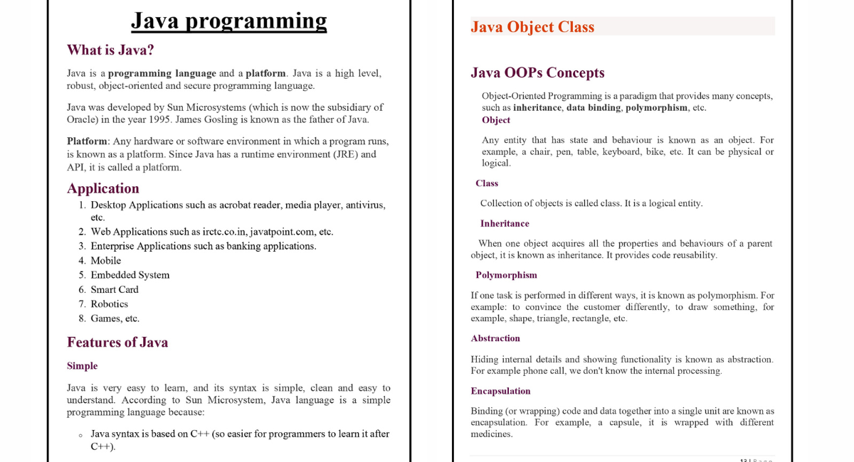 Java Programming PDF